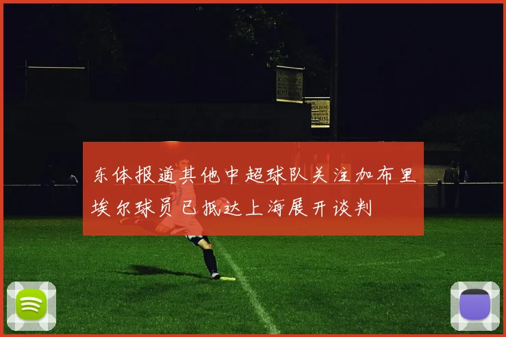 东体报道其他中超球队关注加布里埃尔球员已抵达上海展开谈判
